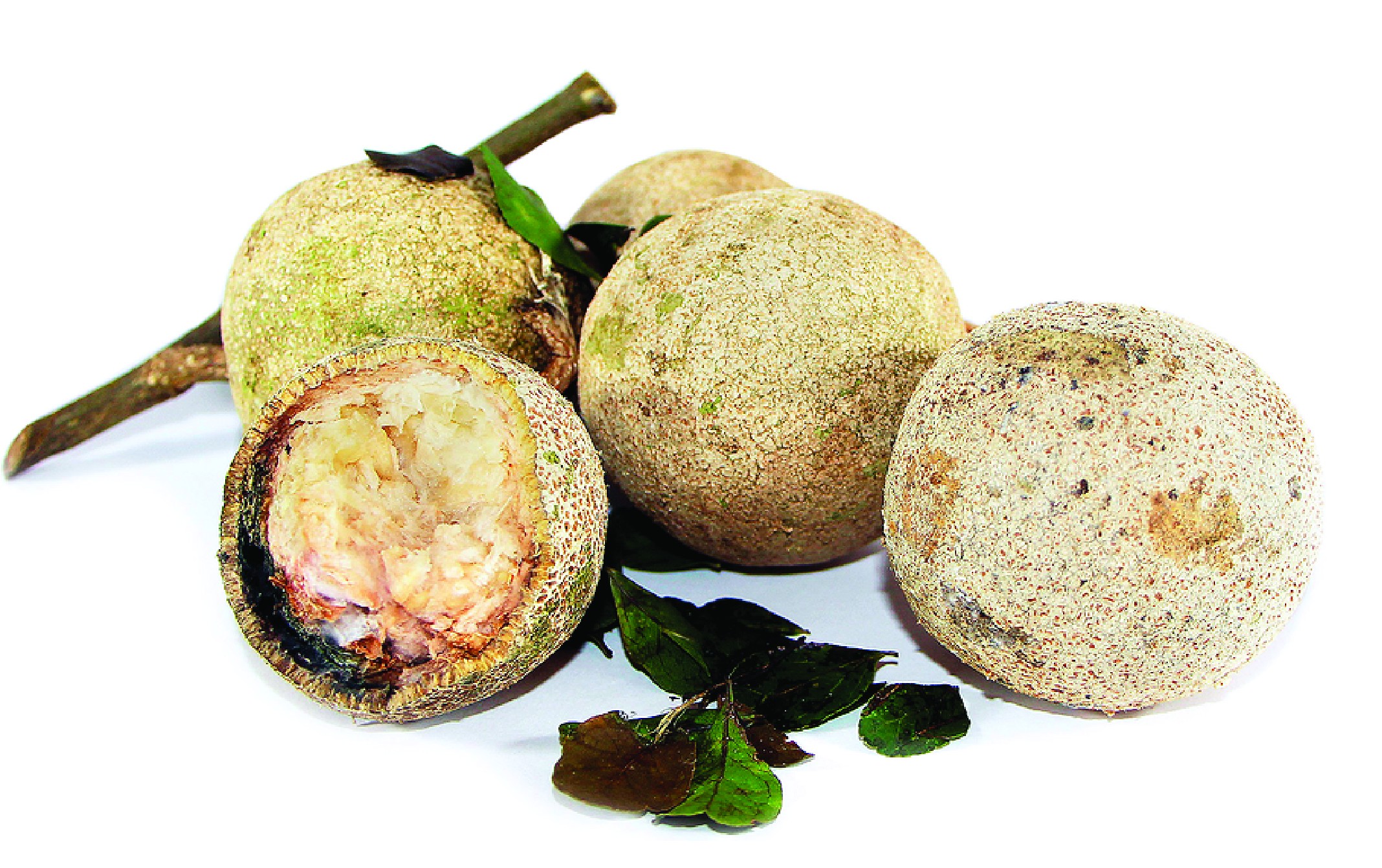 Wood Apple - GoToChef