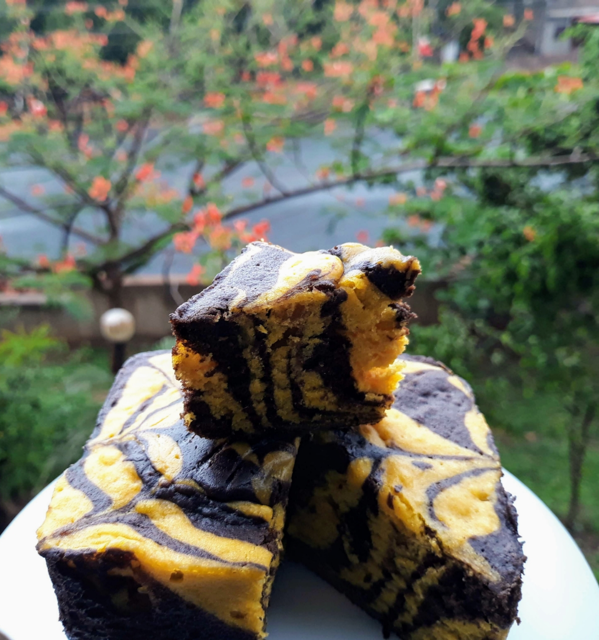 Eggless Mango choco marble cake Recipe Eggless Mango choco marble cake Recipe