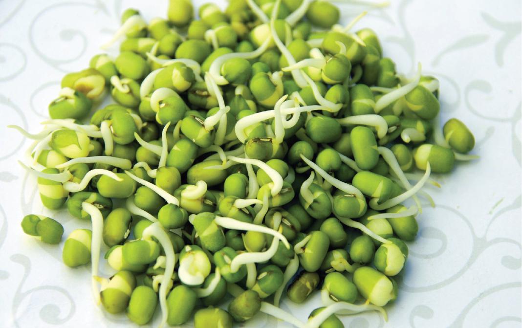 FRESH GREEN GRAM BURFI RECIPE - GoToChef
