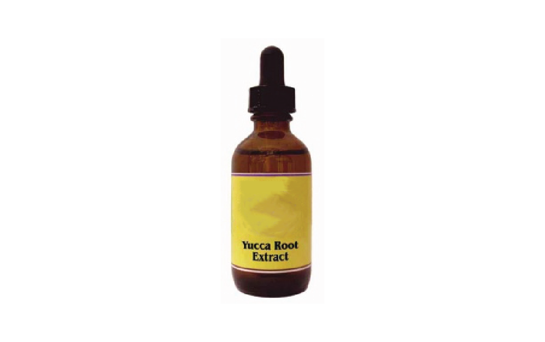 Yucca Root Extract - GoToChef