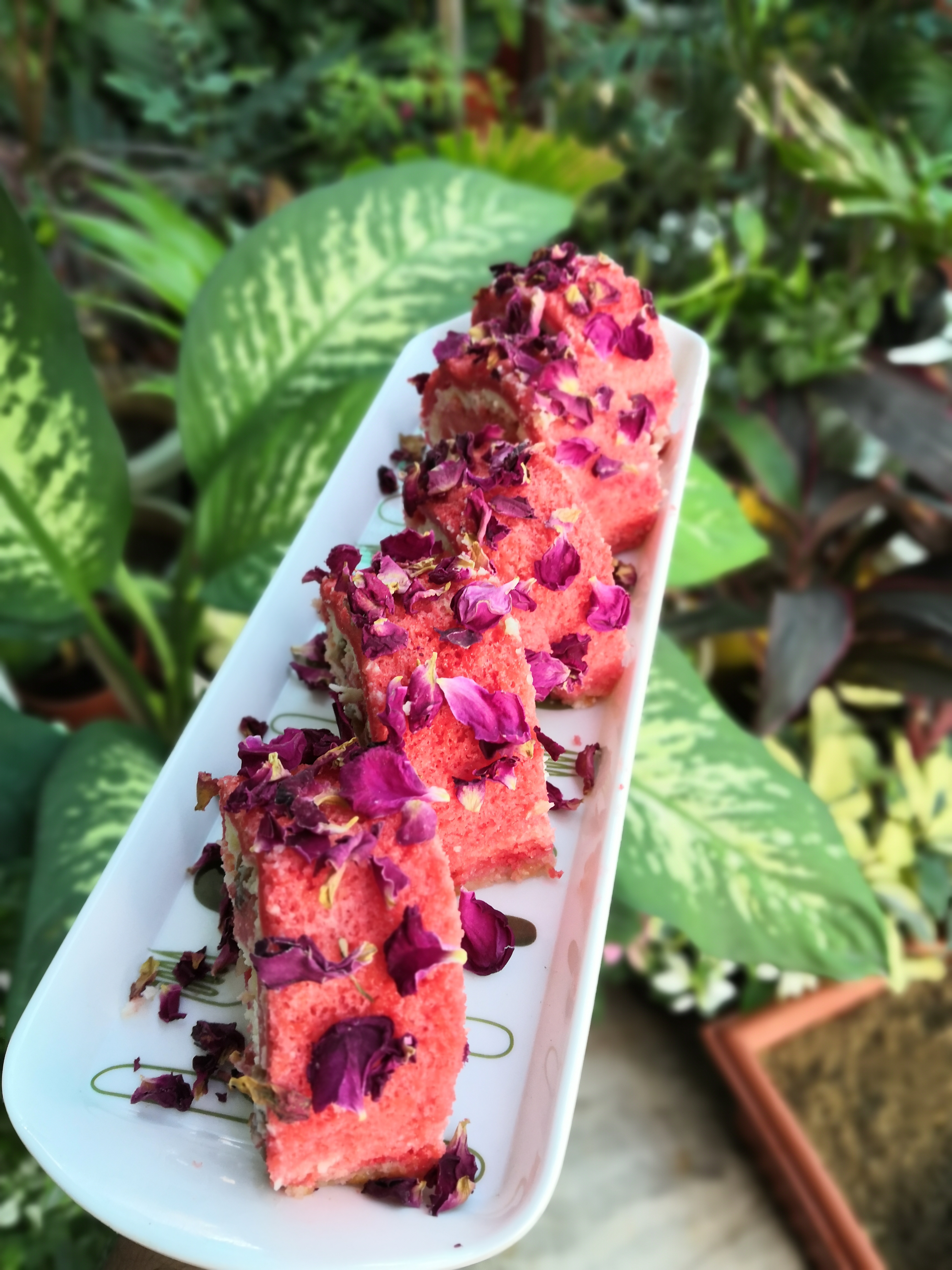 Rose and Coconut Swiss Roll With mawa and Gulkand Filling Recipe Rose and Coconut Swiss Roll With mawa and Gulkand Filling Recipe