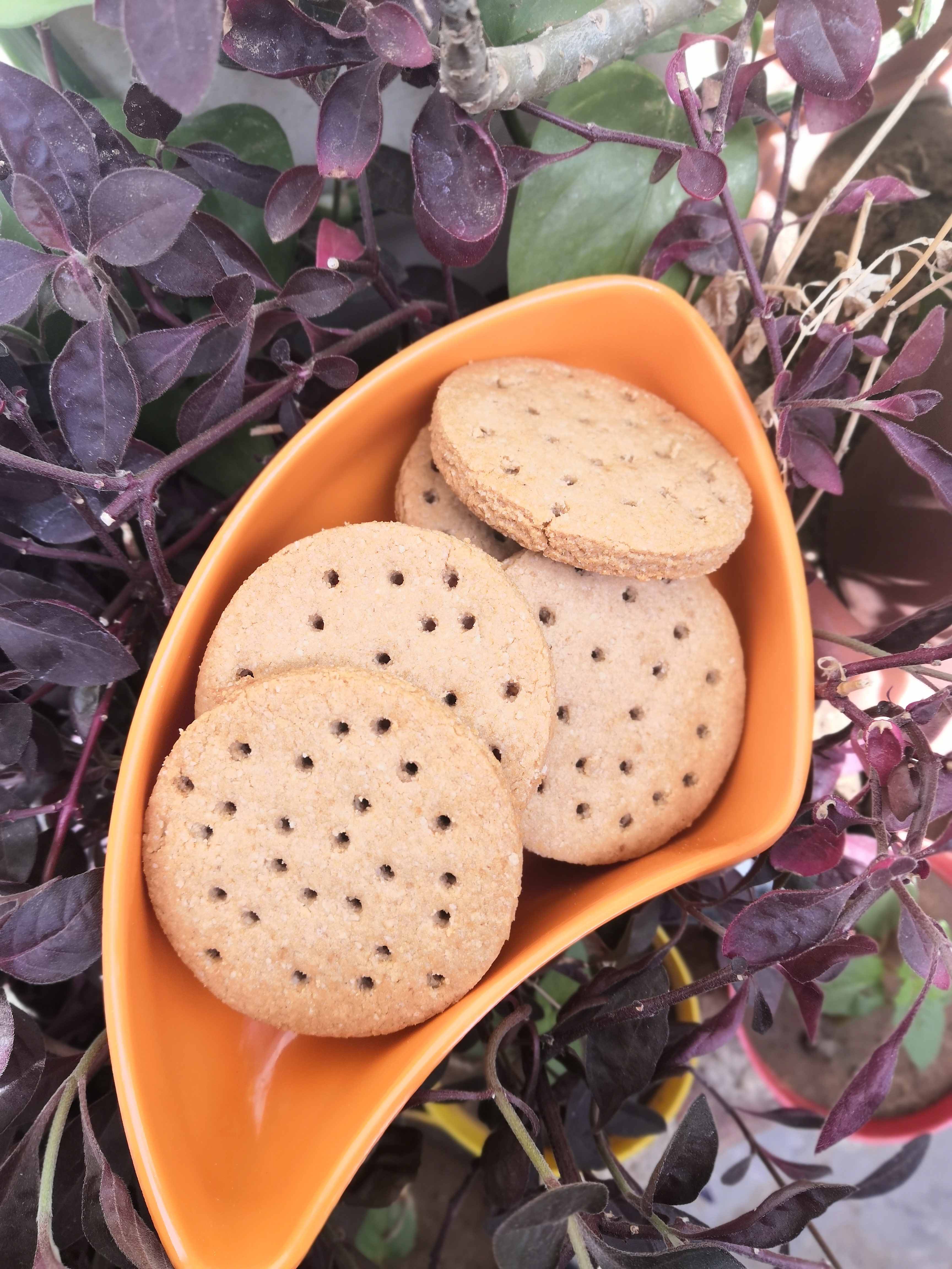 Digestive Biscuit /Wholewheat and Oats Biscuit Recipe Digestive Biscuit /Wholewheat and Oats Biscuit Recipe