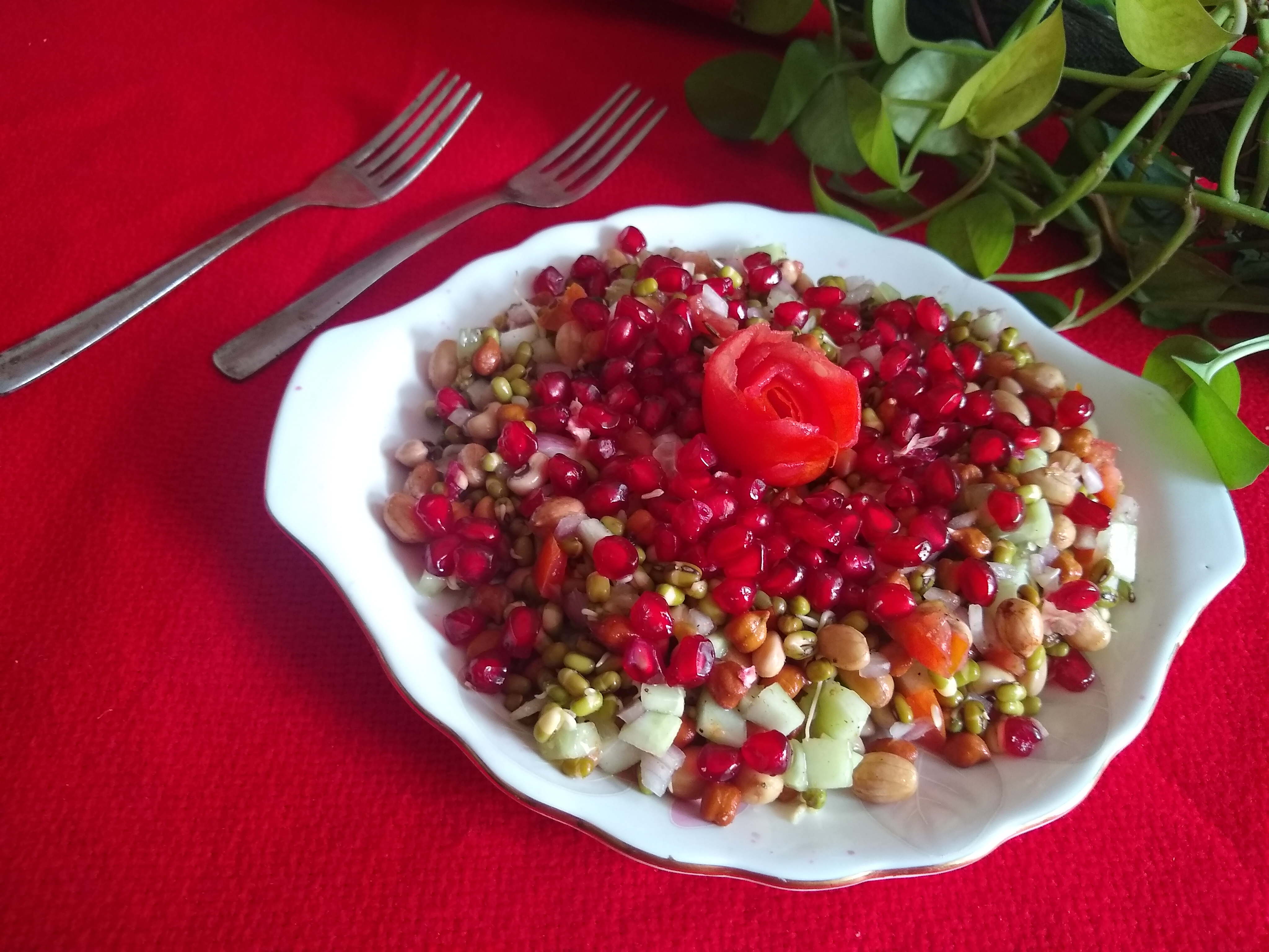 SPROUT SALAD RECIPE SPROUT SALAD RECIPE