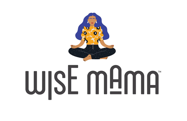 Wise Mama Berries And Nuts Millet Porridge    Pack   