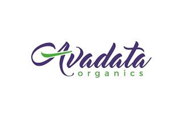 Team Demo Test Tomato Pickle Thokku    Glass Jar   